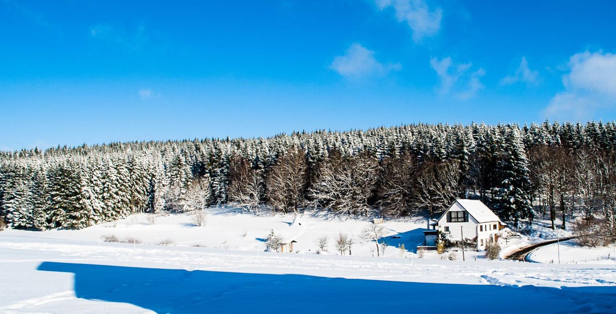 Апартаменти Haus Sohl Am Rothaarsteig Бад-Лаасфе Екстер'єр фото